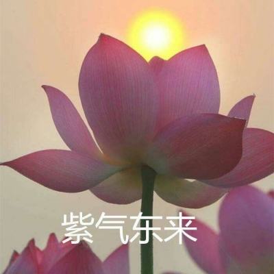 热血霸业ol官方